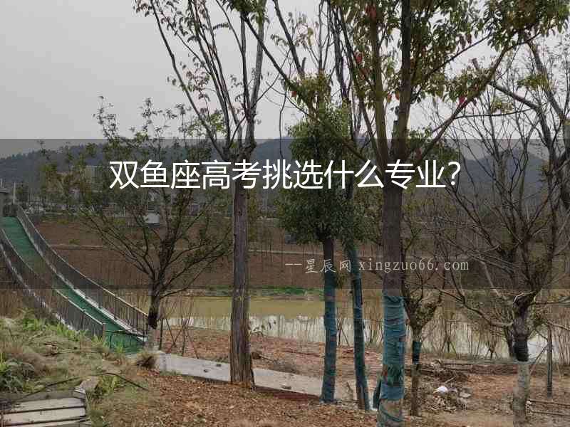 雙魚座高考挑選什么專業？
