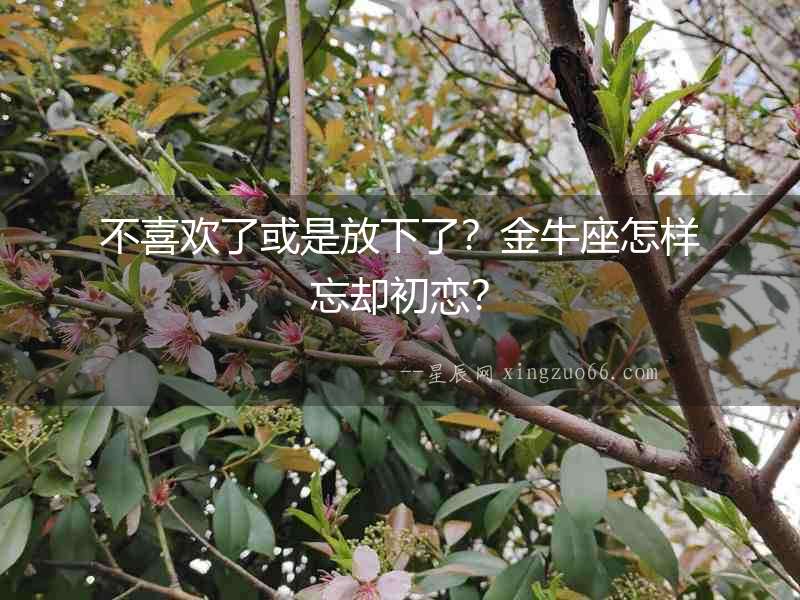 不喜歡了或是放下了？金牛座怎樣忘卻初戀？