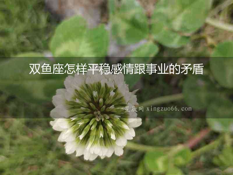 雙魚座怎樣平穩感情跟事業的矛盾