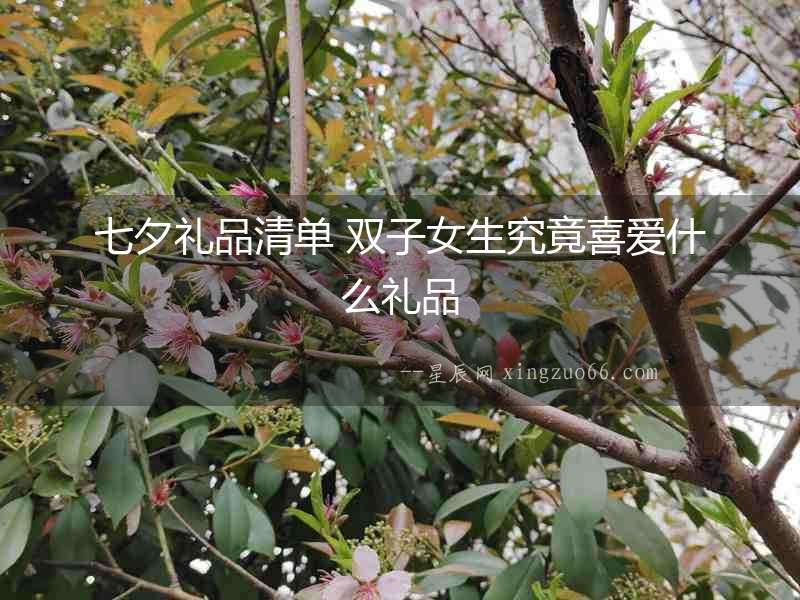 七夕禮品清單 雙子女生究竟喜愛什么禮品