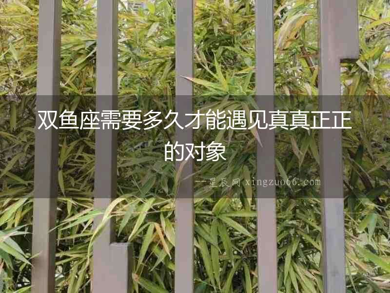 雙魚座需要多久才能遇見真真正正的對象
