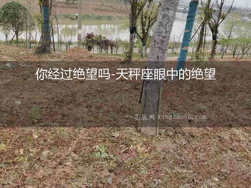 你經(jīng)過絕望嗎-天秤座眼中的絕望