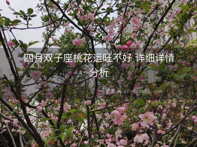 四月雙子座桃花運旺不好 詳細詳情分析