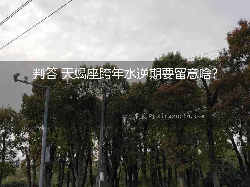 判答 天蝎座跨年水逆期要留意啥？