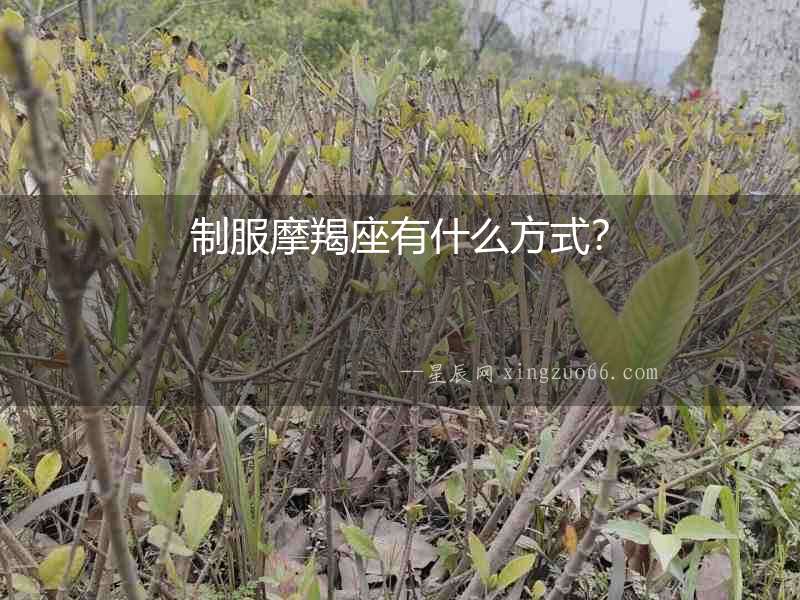 制服摩羯座有什么方式？