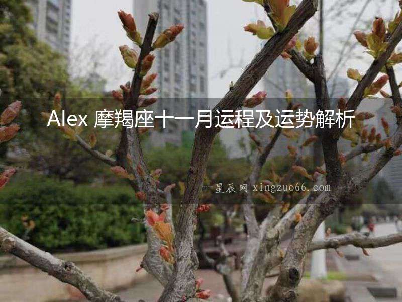 Alex 摩羯座十一月運程及運勢解析