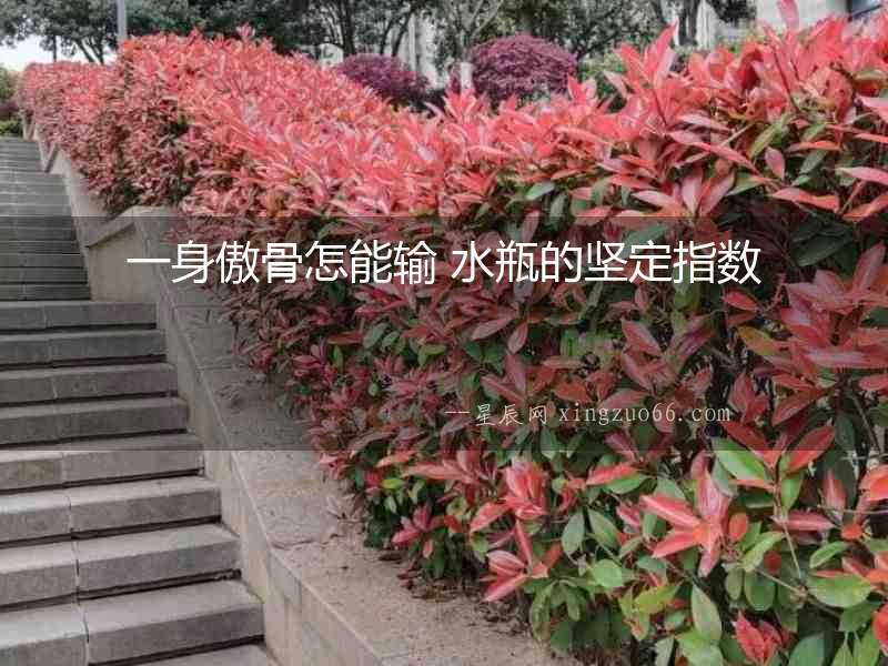 一身傲骨怎能輸 水瓶的堅定指數(shù)