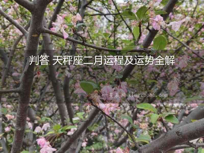 判答 天秤座二月運程及運勢全解