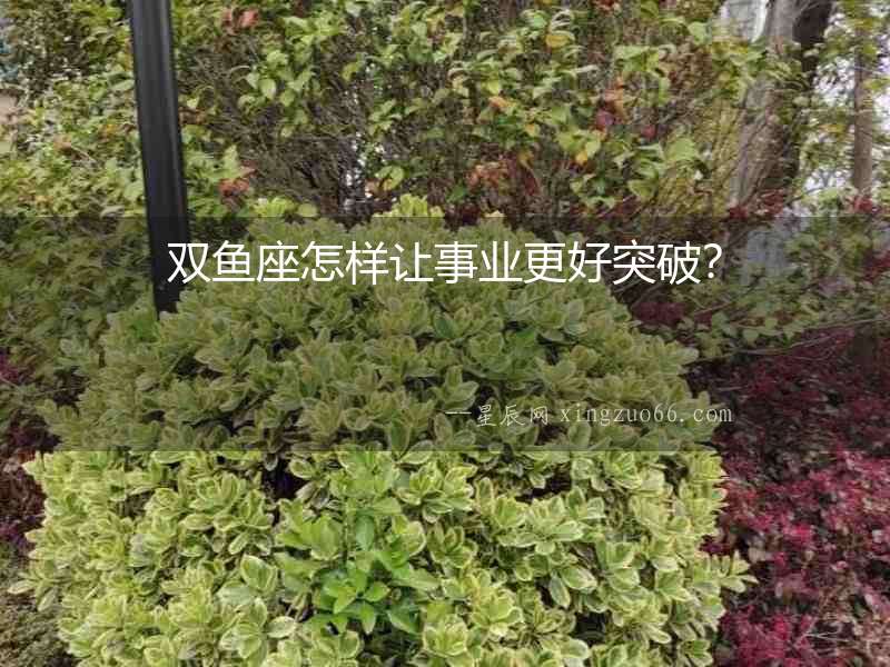 雙魚座怎樣讓事業更好突破？
