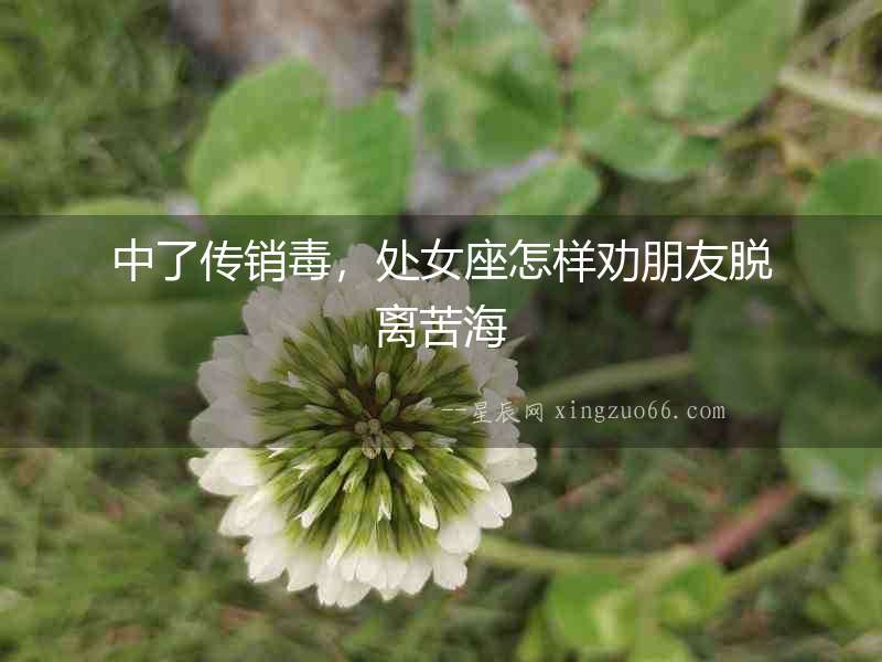 中了傳銷(xiāo)毒，處女座怎樣勸朋友脫離苦海
