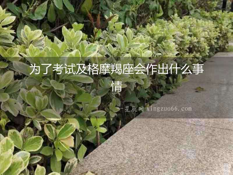 為了考試及格摩羯座會(huì)作出什么事情
