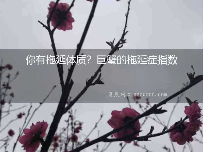 你有拖延體質？巨蟹的拖延癥指數