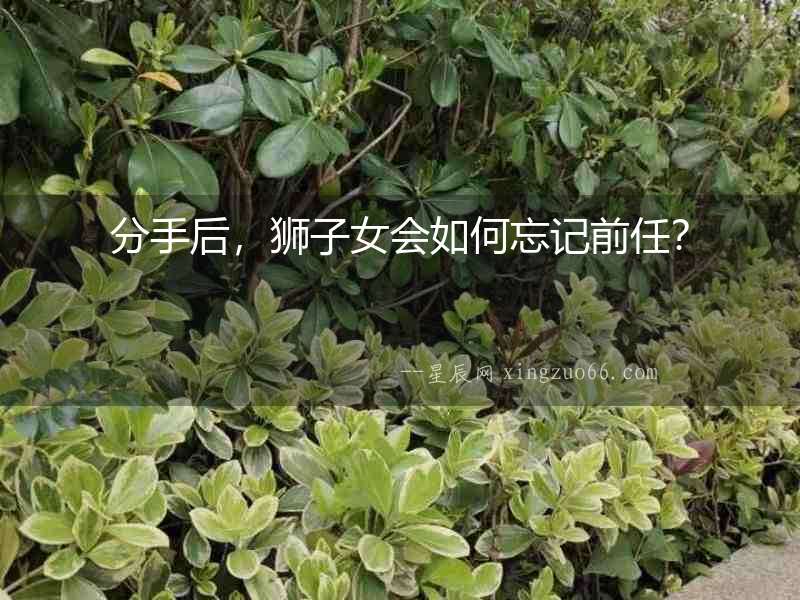 分手后，獅子女會如何忘記前任？