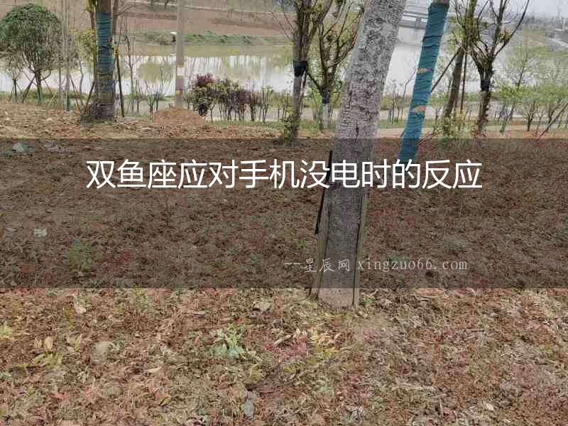 雙魚座應(yīng)對手機(jī)沒電時(shí)的反應(yīng)