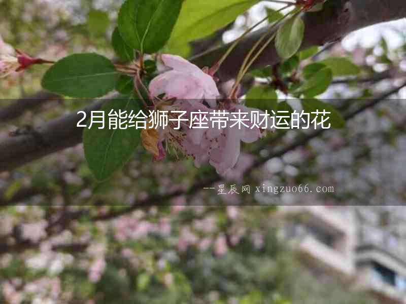 2月能給獅子座帶來財(cái)運(yùn)的花