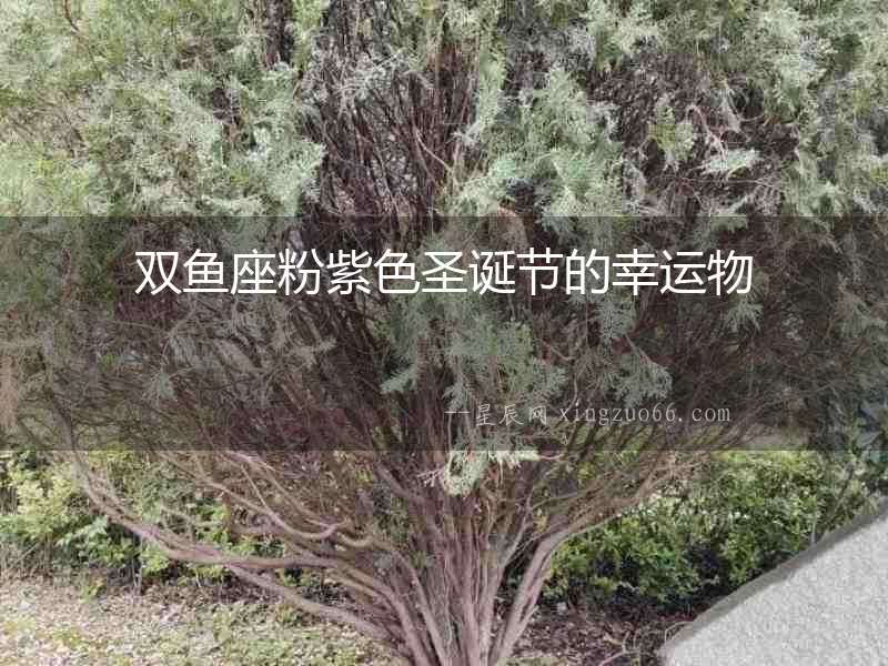 雙魚(yú)座粉紫色圣誕節(jié)的幸運(yùn)物