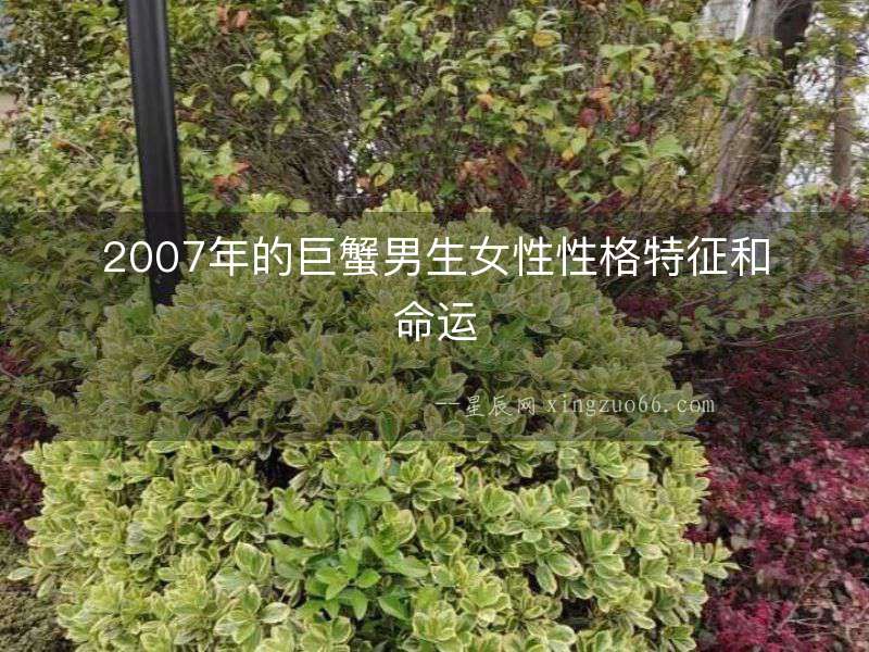 2007年的巨蟹男生女性性格特征和命運(yùn)