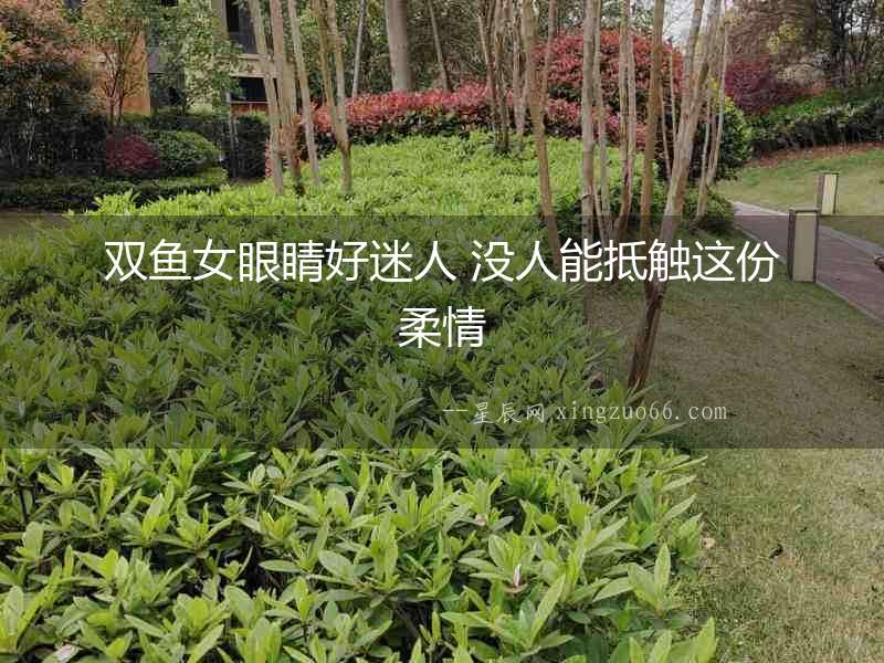 雙魚女眼睛好迷人 沒人能抵觸這份柔情