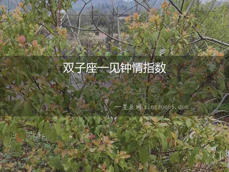 雙子座一見鐘情指數