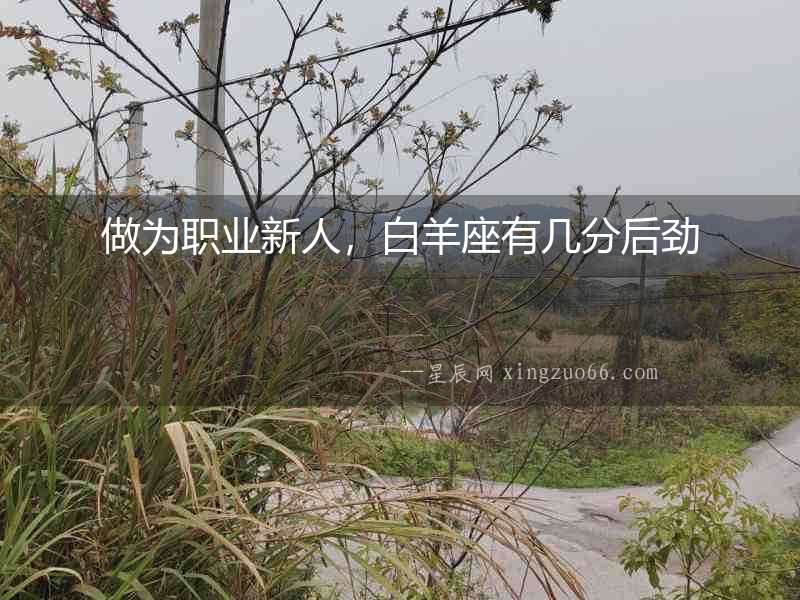 做為職業(yè)新人，白羊座有幾分后勁