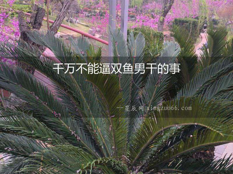 千萬不能逼雙魚男干的事
