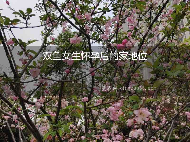雙魚(yú)女生懷孕后的家地位