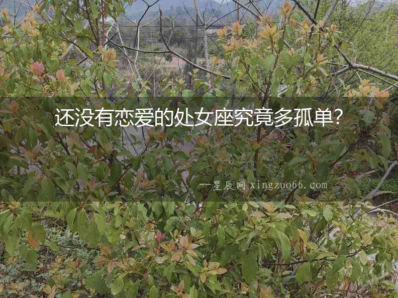 還沒(méi)有戀愛(ài)的處女座究竟多孤單？