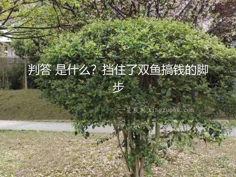 判答 是什么？擋住了雙魚搞錢的腳步