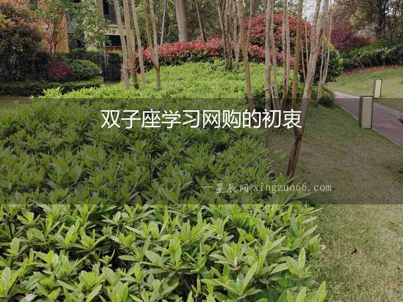 雙子座學習網購的初衷