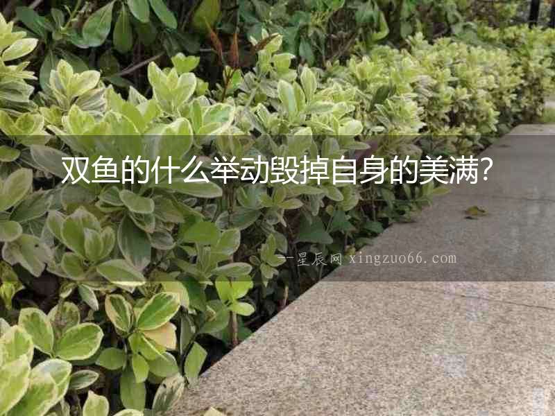 雙魚的什么舉動毀掉自身的美滿？