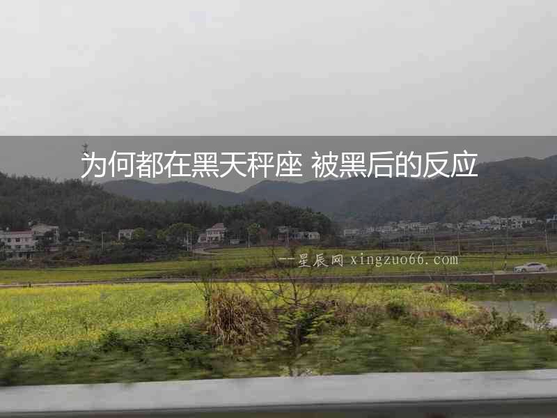 為何都在黑天秤座 被黑后的反應