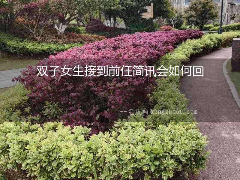 雙子女生接到前任簡訊會如何回