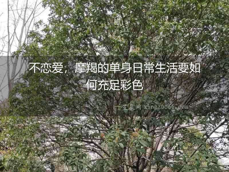 不戀愛，摩羯的單身日常生活要如何充足彩色
