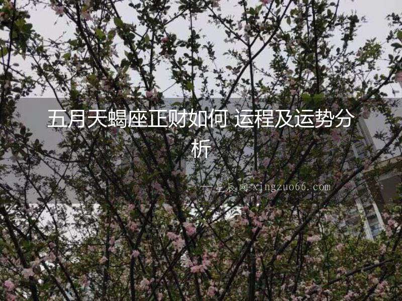 五月天蝎座正財(cái)如何 運(yùn)程及運(yùn)勢分析