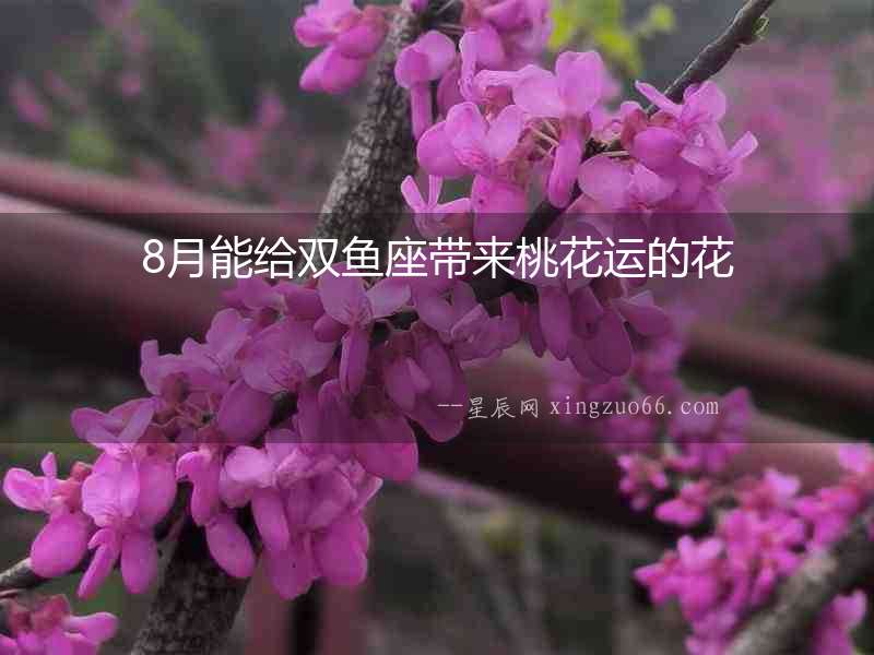 8月能給雙魚座帶來桃花運的花