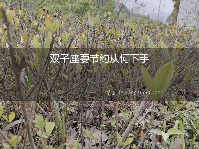 雙子座要節約從何下手