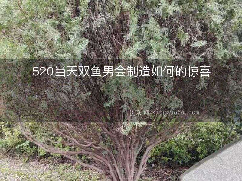 520當(dāng)天雙魚男會(huì)制造如何的驚喜