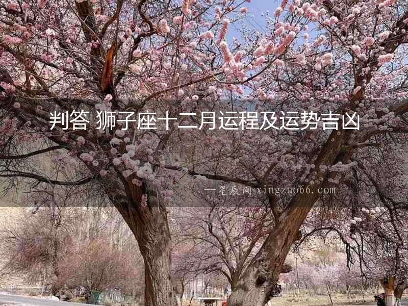 判答 獅子座十二月運(yùn)程及運(yùn)勢吉兇