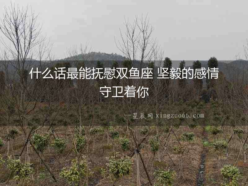 什么話最能撫慰雙魚座 堅毅的感情守衛(wèi)著你