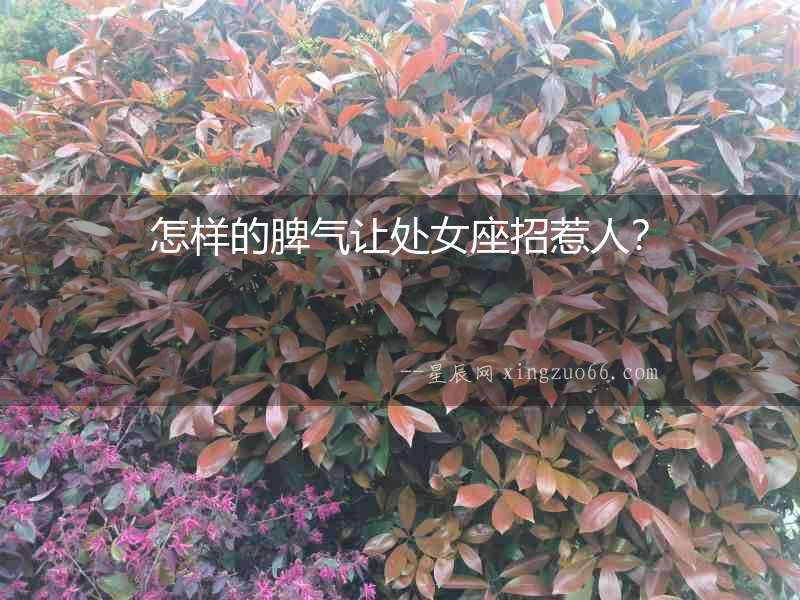 怎樣的脾氣讓處女座招惹人？