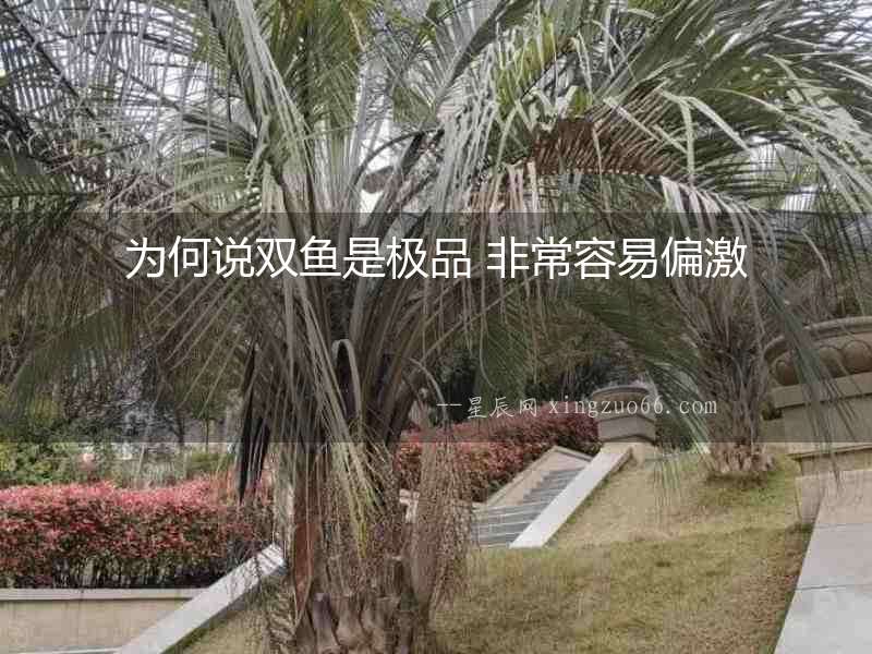 為何說雙魚是極品 非常容易偏激