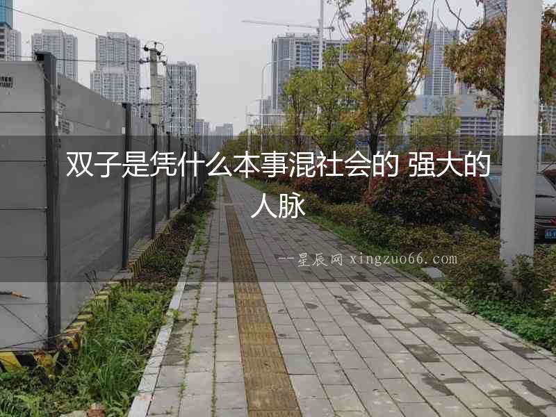 雙子是憑什么本事混社會(huì)的 強(qiáng)大的人脈