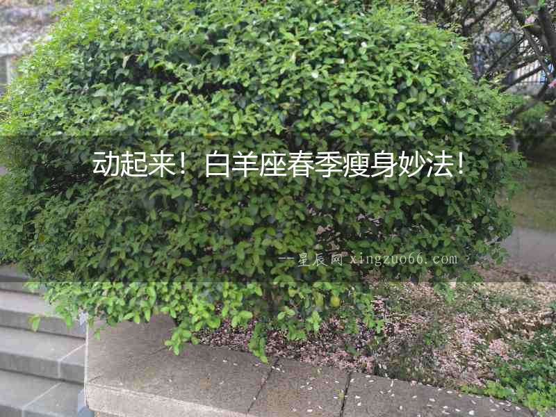 動起來！白羊座春季瘦身妙法！