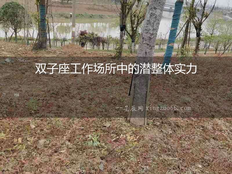 雙子座工作場所中的潛整體實(shí)力