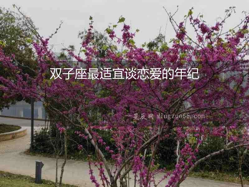雙子座最適宜談戀愛(ài)的年紀(jì)
