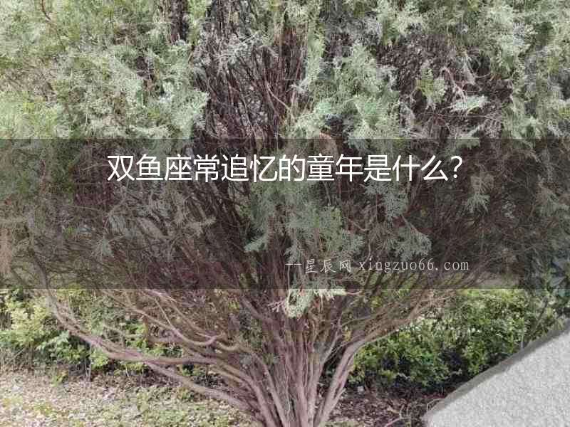 雙魚座常追憶的童年是什么？