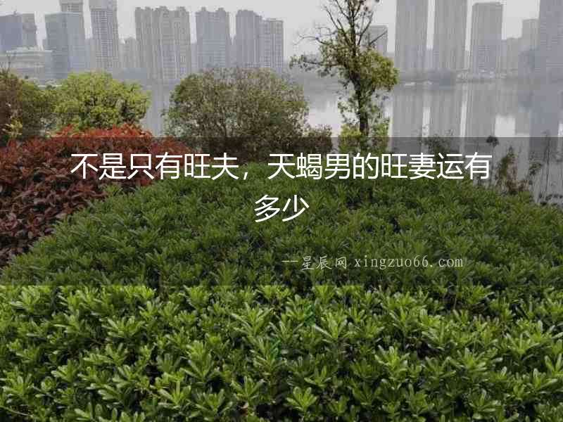 不是只有旺夫，天蝎男的旺妻運有多少