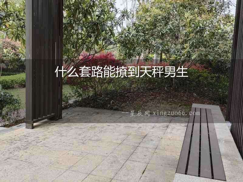 什么套路能撩到天秤男生