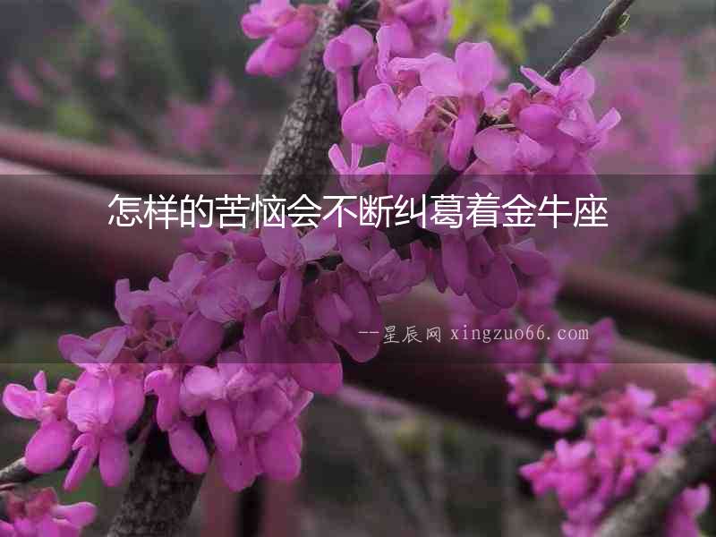 怎樣的苦惱會不斷糾葛著金牛座