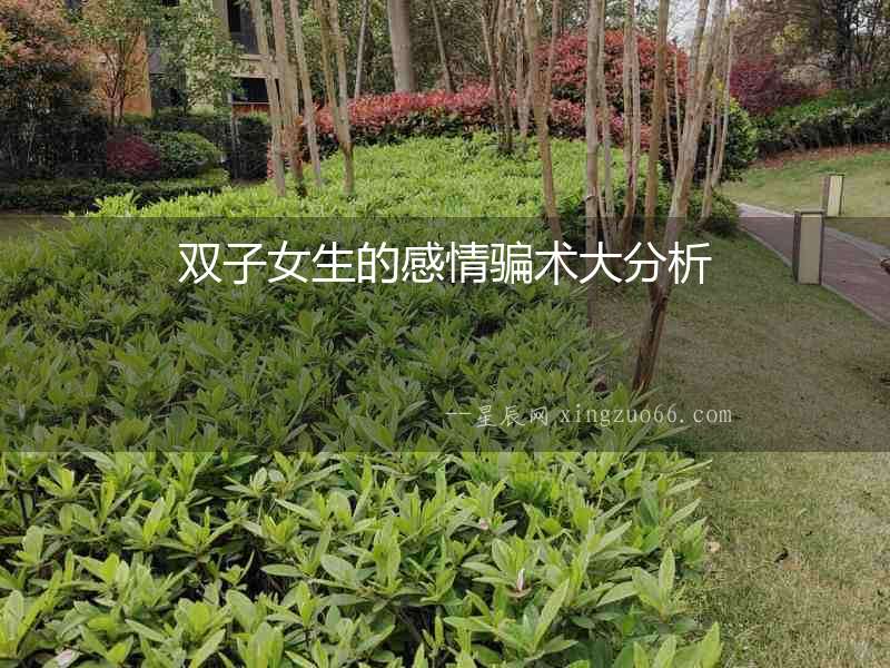 雙子女生的感情騙術(shù)大分析